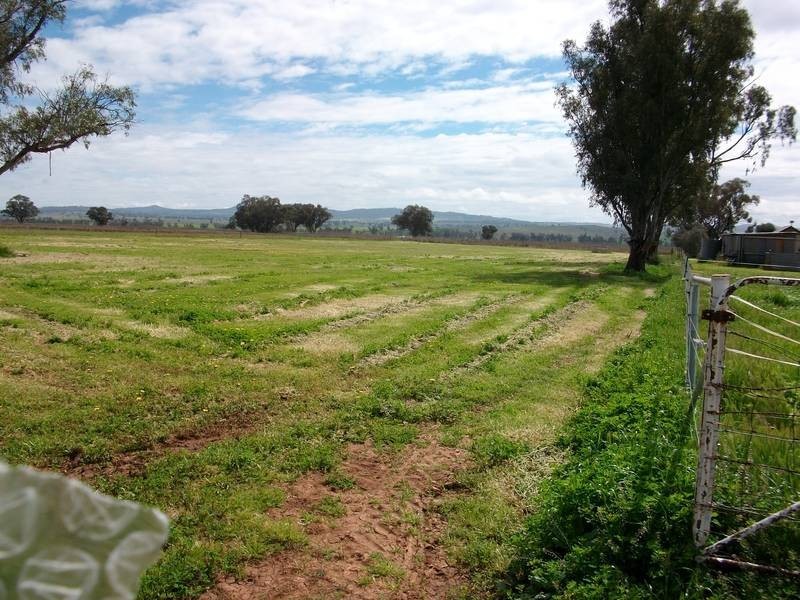 Tamworth NSW 2340
