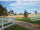 Tamworth NSW 2340