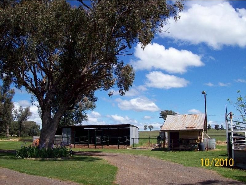 Tamworth NSW 2340