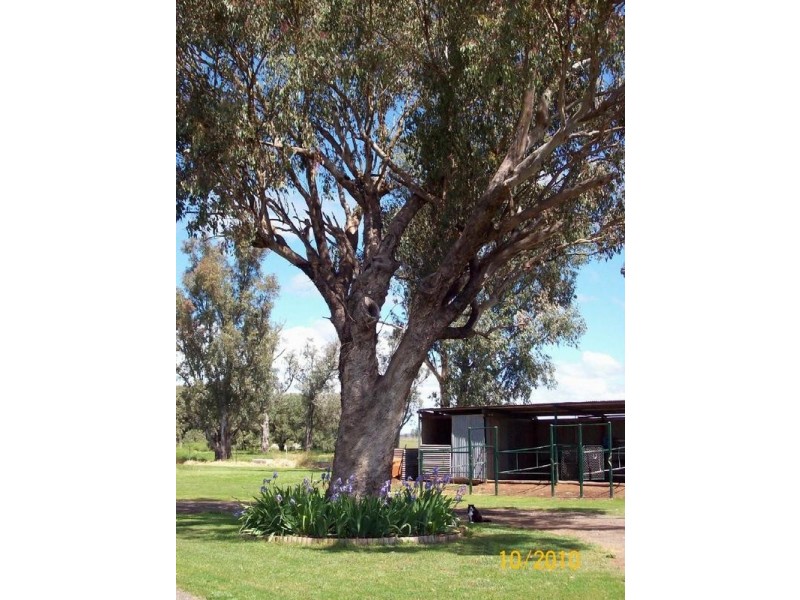 Tamworth NSW 2340