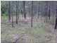 Lot 4,  Moonbi Gap Road, Tamworth NSW 2340