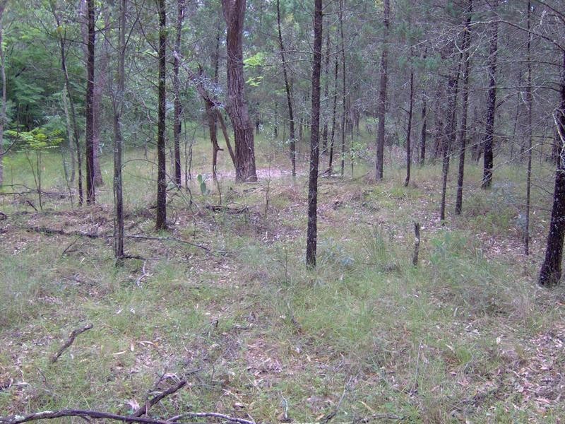 Lot 4,  Moonbi Gap Road, Tamworth NSW 2340