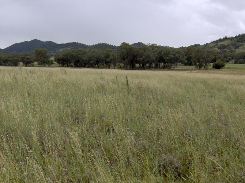 85 Suttons Rd, Tamworth NSW 2340