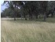 85 Suttons Rd, Tamworth NSW 2340