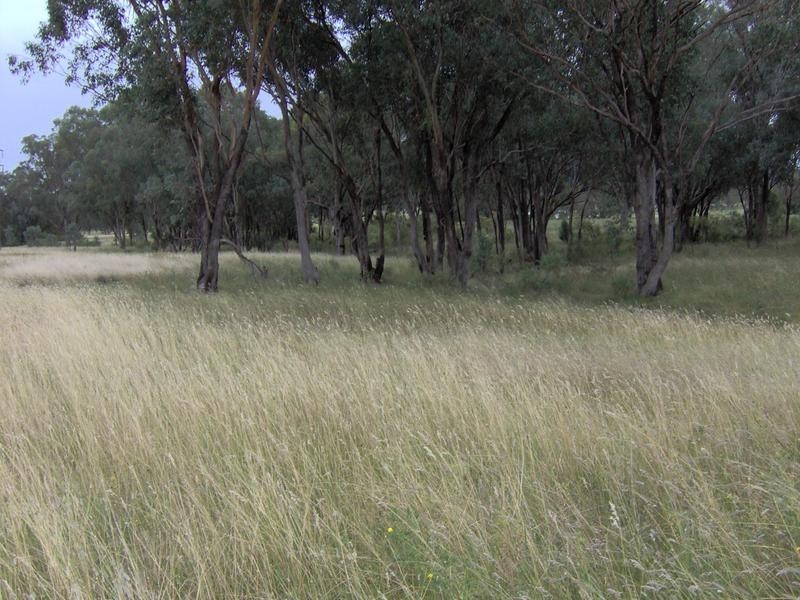 85 Suttons Rd, Tamworth NSW 2340