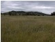 85 Suttons Rd, Tamworth NSW 2340