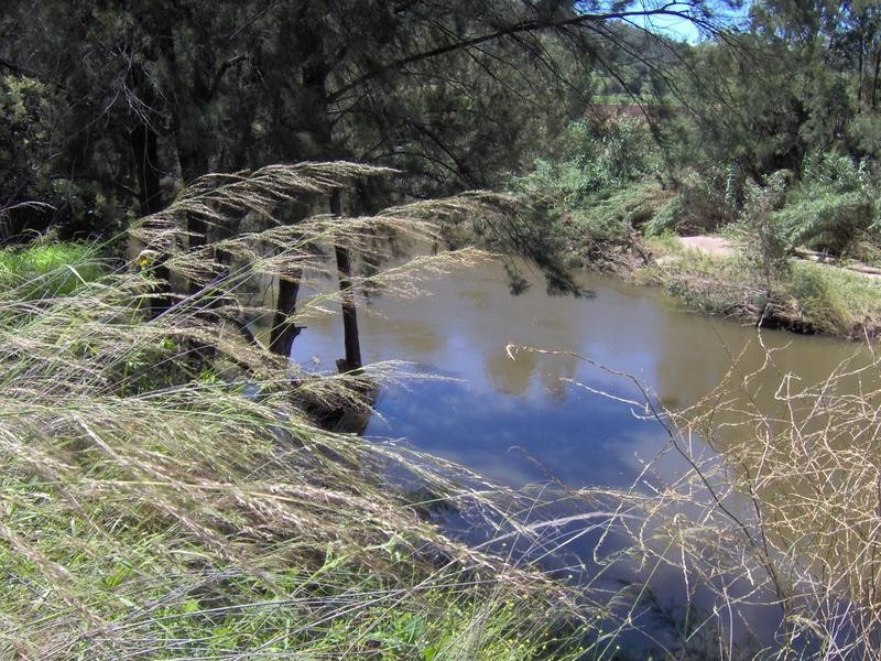 273 Back Kootingal Rd, Tamworth NSW 2340