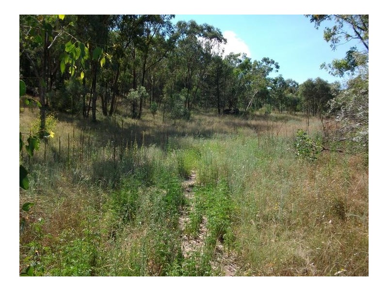 Tamworth NSW 2340