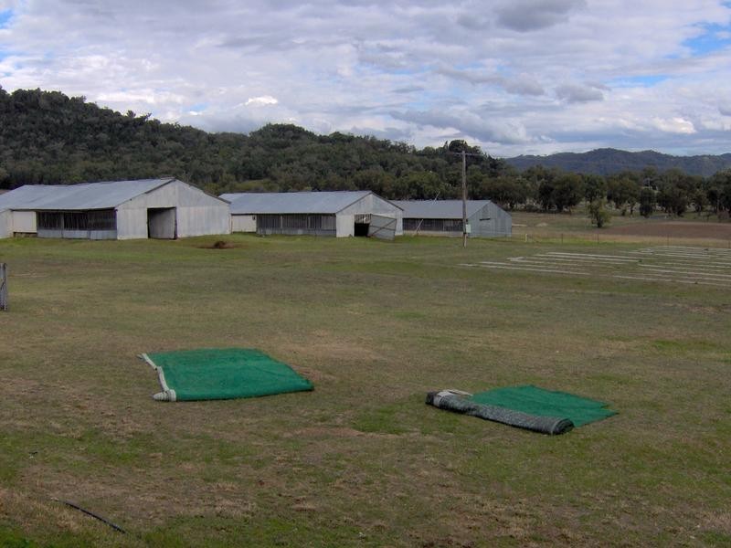 13-29 Wellington Street, Moonbi NSW 2353