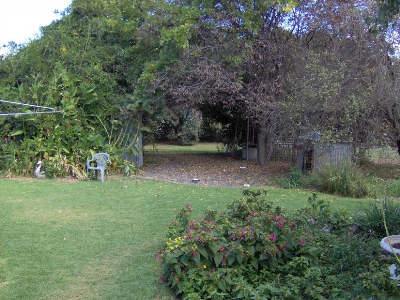7 Armidale Street, Currabubula NSW 2342