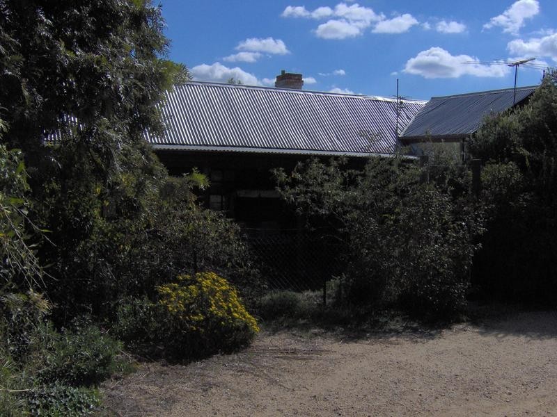 7 Armidale Street, Currabubula NSW 2342