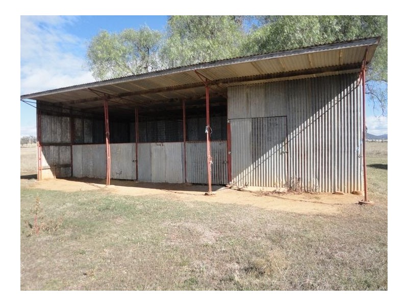 . Penlee Duri, Tamworth NSW 2340