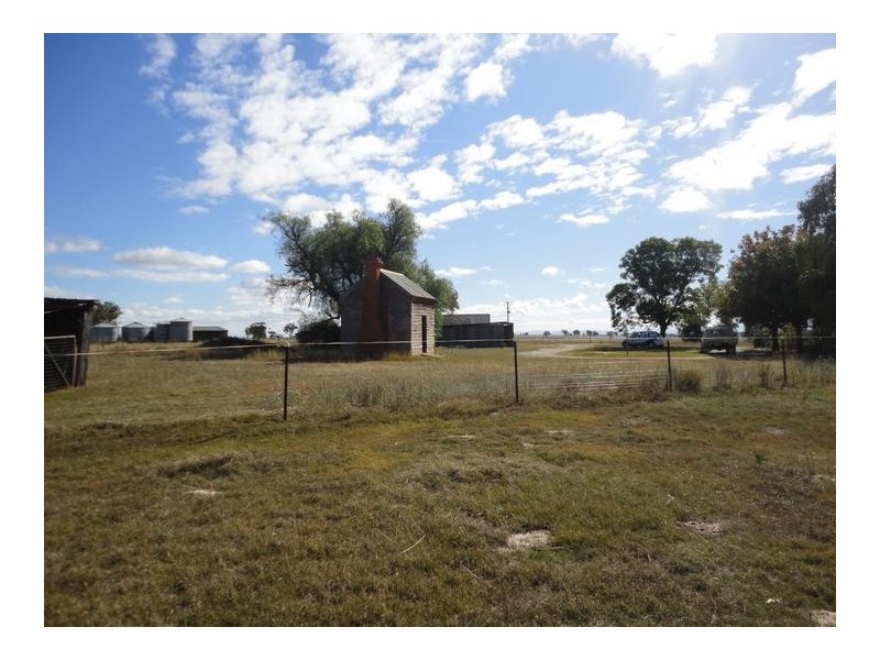 . Penlee Duri, Tamworth NSW 2340