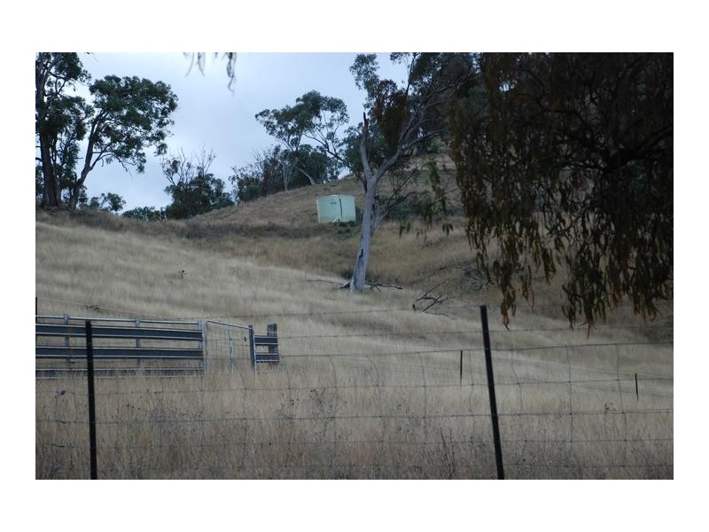 191 Ogunbil Road, Tamworth NSW 2340