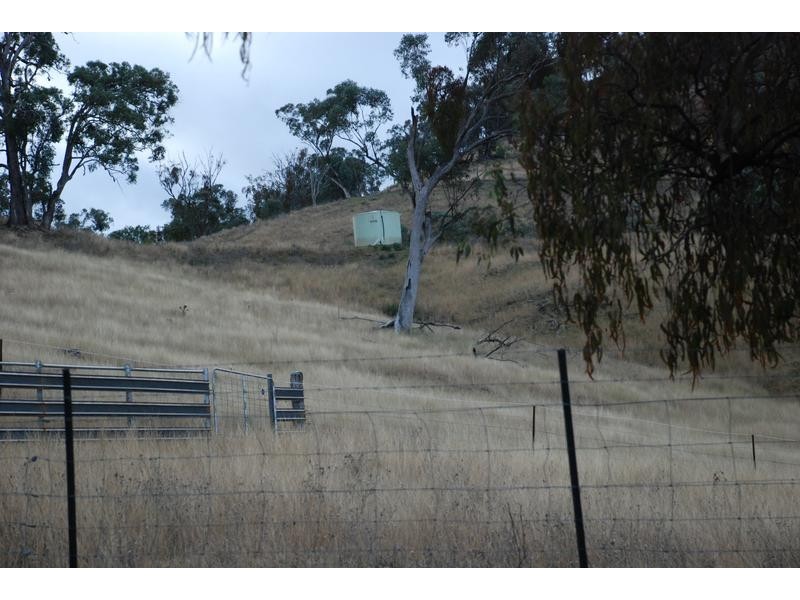 191 Ogunbil Rd, Dungowan NSW 2340