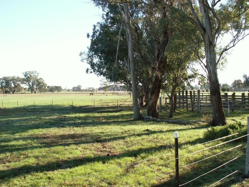 1310 Duri Dungowan Road, Tamworth NSW 2340