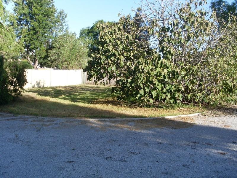 7 Attunga Street, Attunga NSW 2345