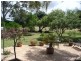 2809 Manilla Road, Attunga NSW 2345
