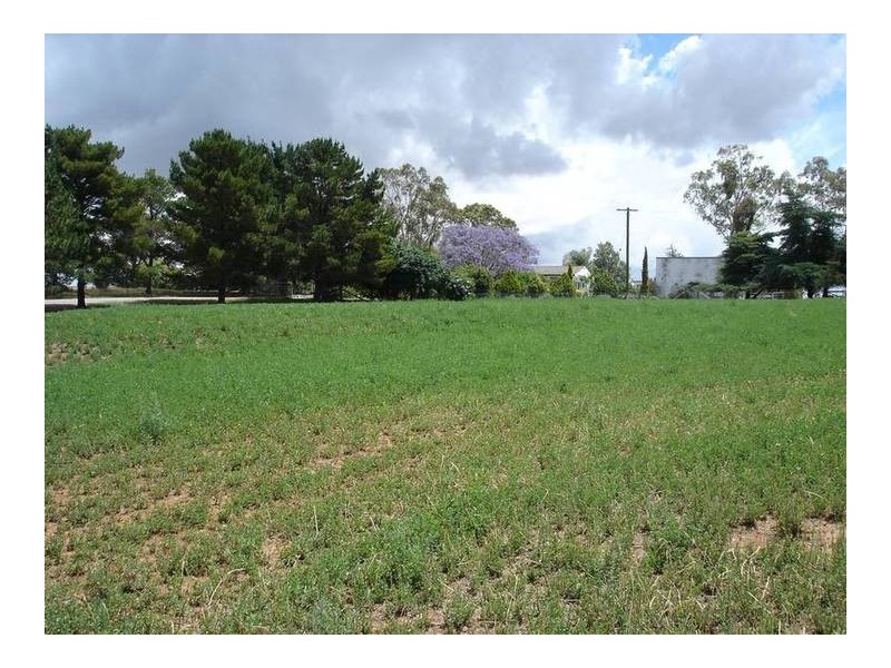 2809 Manilla Road, Attunga NSW 2345