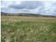 2809 Manilla Road, Attunga NSW 2345