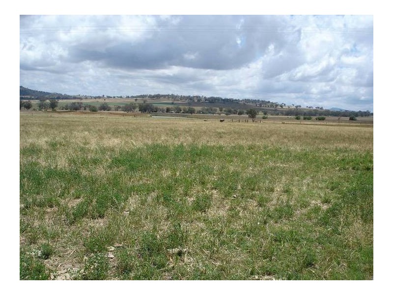 2809 Manilla Road, Attunga NSW 2345