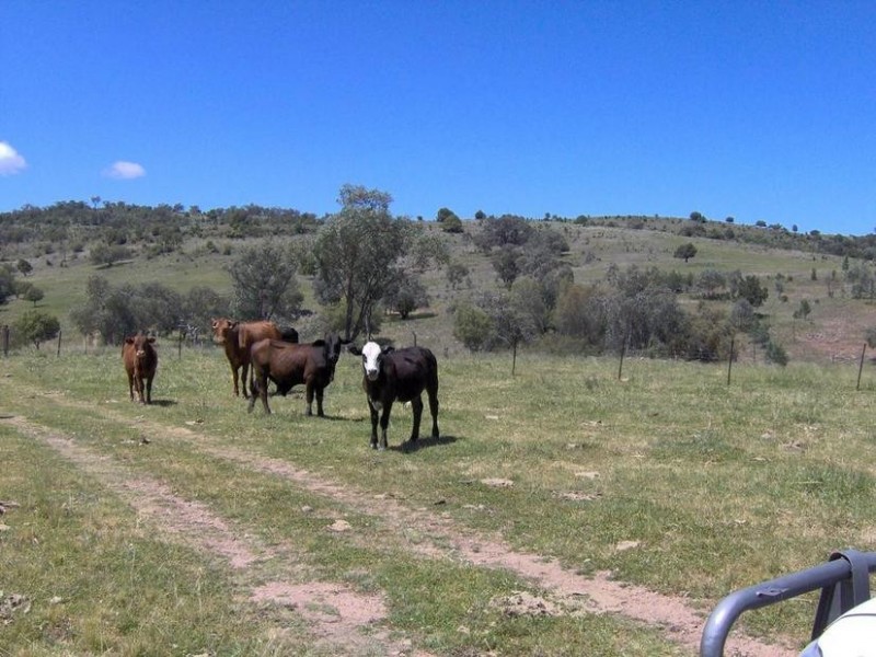 149 Ryans Road, Carroll NSW 2340