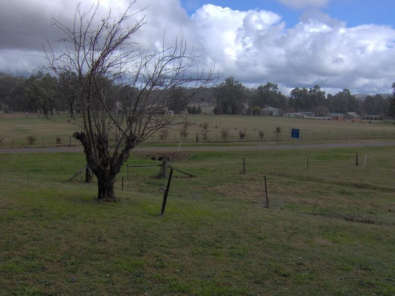 33-53 Munro Street, Woolomin NSW 2340