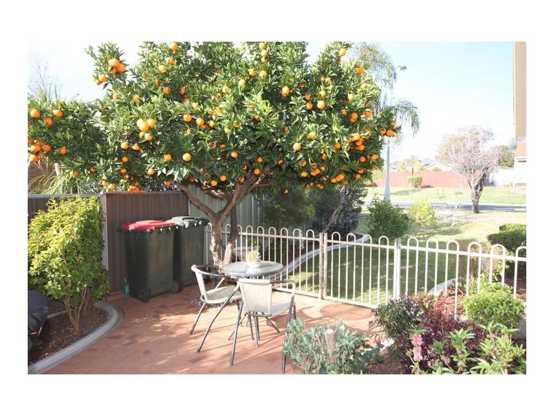 16 Kurrajong street, Tamworth NSW 2340