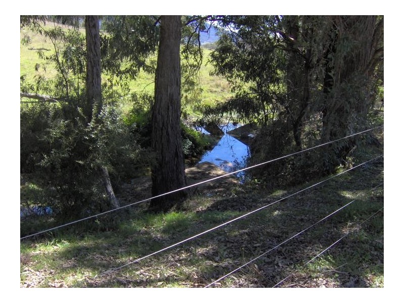1476 Duncans Creek Road, Tamworth NSW 2340