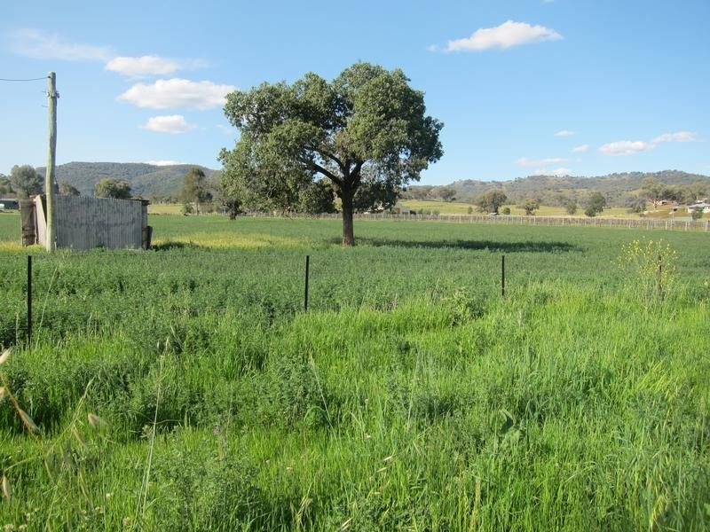 22 Martins Lane, Tamworth NSW 2340