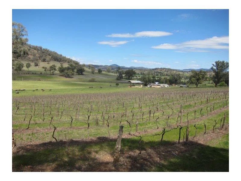 1095 Nundle Road, Tamworth NSW 2340