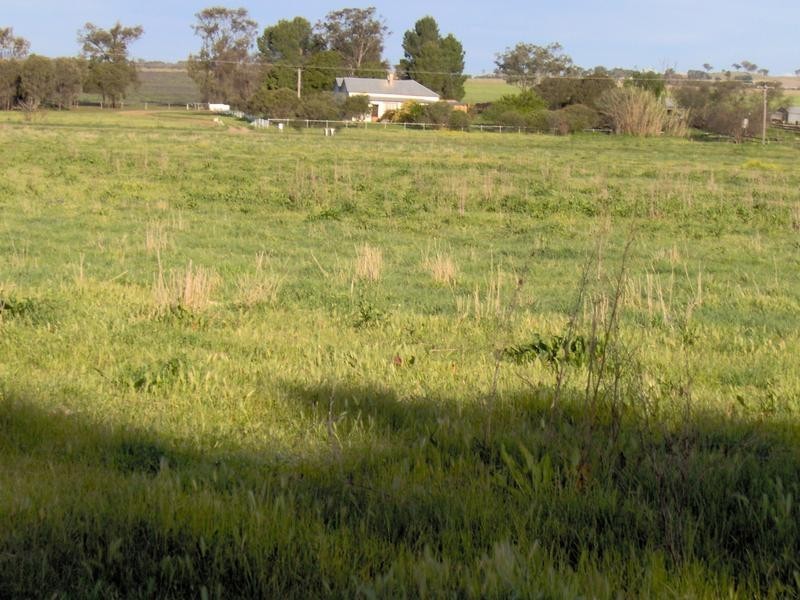 133 Onslow- Thompson Rd, Tamworth NSW 2340