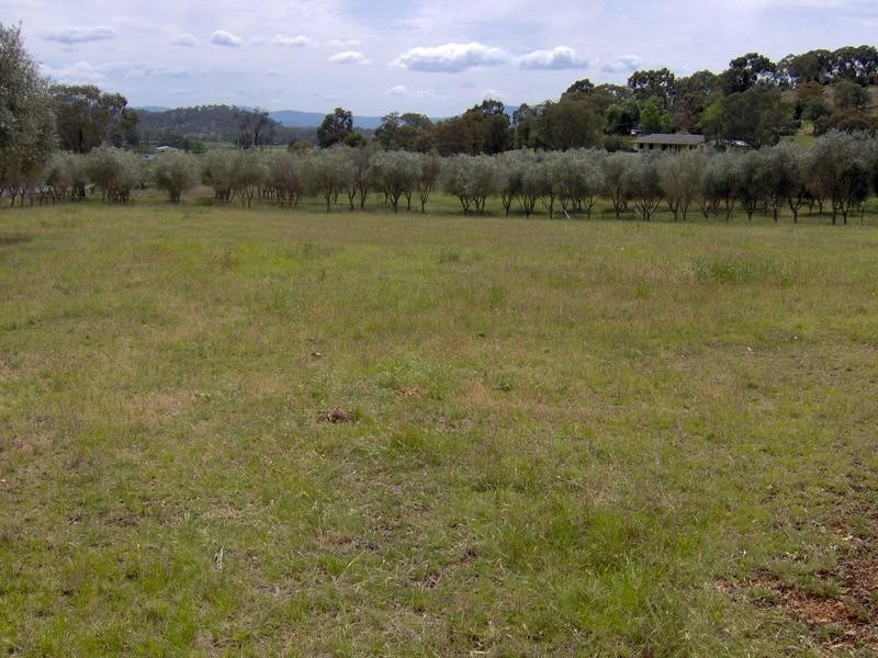 Tamworth NSW 2340