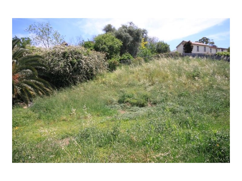 54-56 Carthage Street, Tamworth NSW 2340