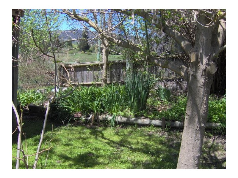 20 Caroline Street, Bendemeer NSW 2355