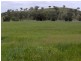 Lot 9,  Martins Lane, Tamworth NSW 2340