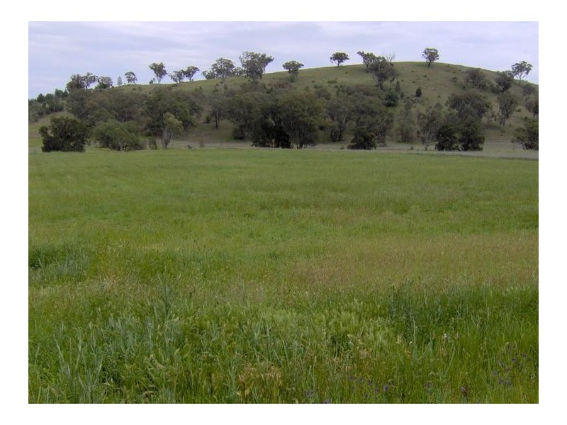 Lot 9,  Martins Lane, Tamworth NSW 2340