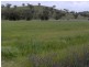Lot 9,  Martins Lane, Tamworth NSW 2340