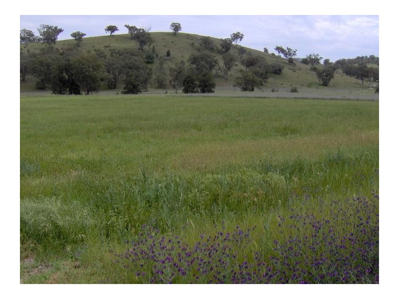 Lot 9,  Martins Lane, Tamworth NSW 2340