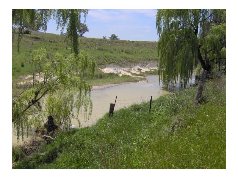 496 Trevallyn Road, Barraba NSW 2347