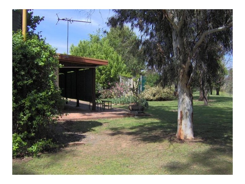 496 Trevallyn Road, Barraba NSW 2347