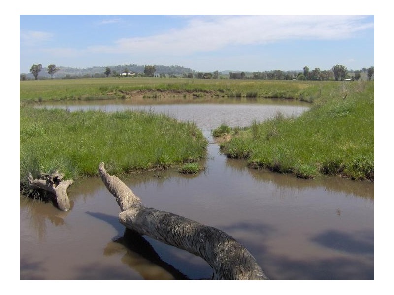 496 Trevallyn Road, Barraba NSW 2347