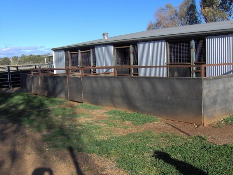 14610 NEW ENGLAND HIGHWAY, Tamworth NSW 2340