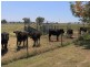 279 Top Somerton Road, Attunga NSW 2345