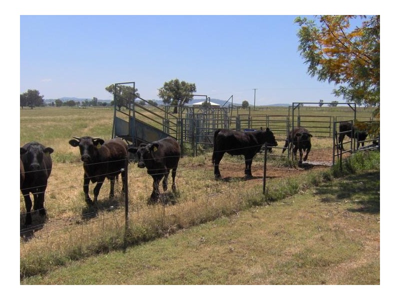 279 Top Somerton Road, Attunga NSW 2345