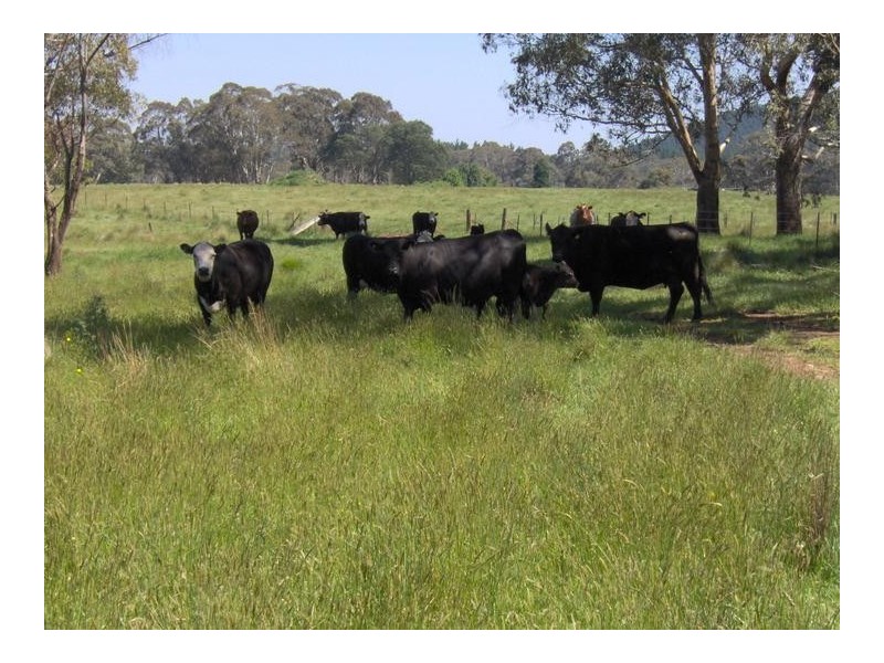 378 Forest Way, Hanging Rock NSW 2340