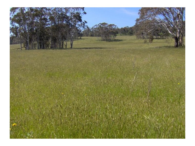 378 Forest Way, Hanging Rock NSW 2340