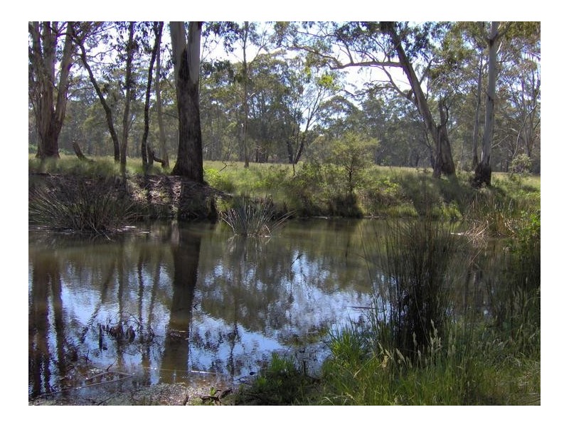 378 Forest Way, Hanging Rock NSW 2340