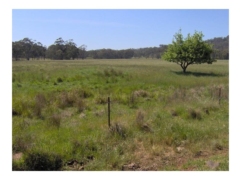 378 Forest Way, Hanging Rock NSW 2340