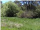 20 Caroline Steet, Bendemeer NSW 2355